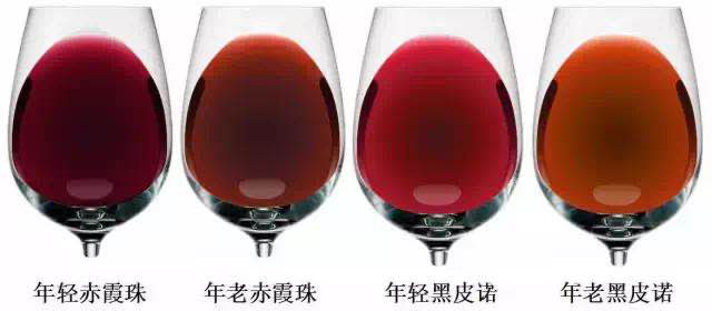 Two Pictures Teach You to Understand the Color of Wine5
